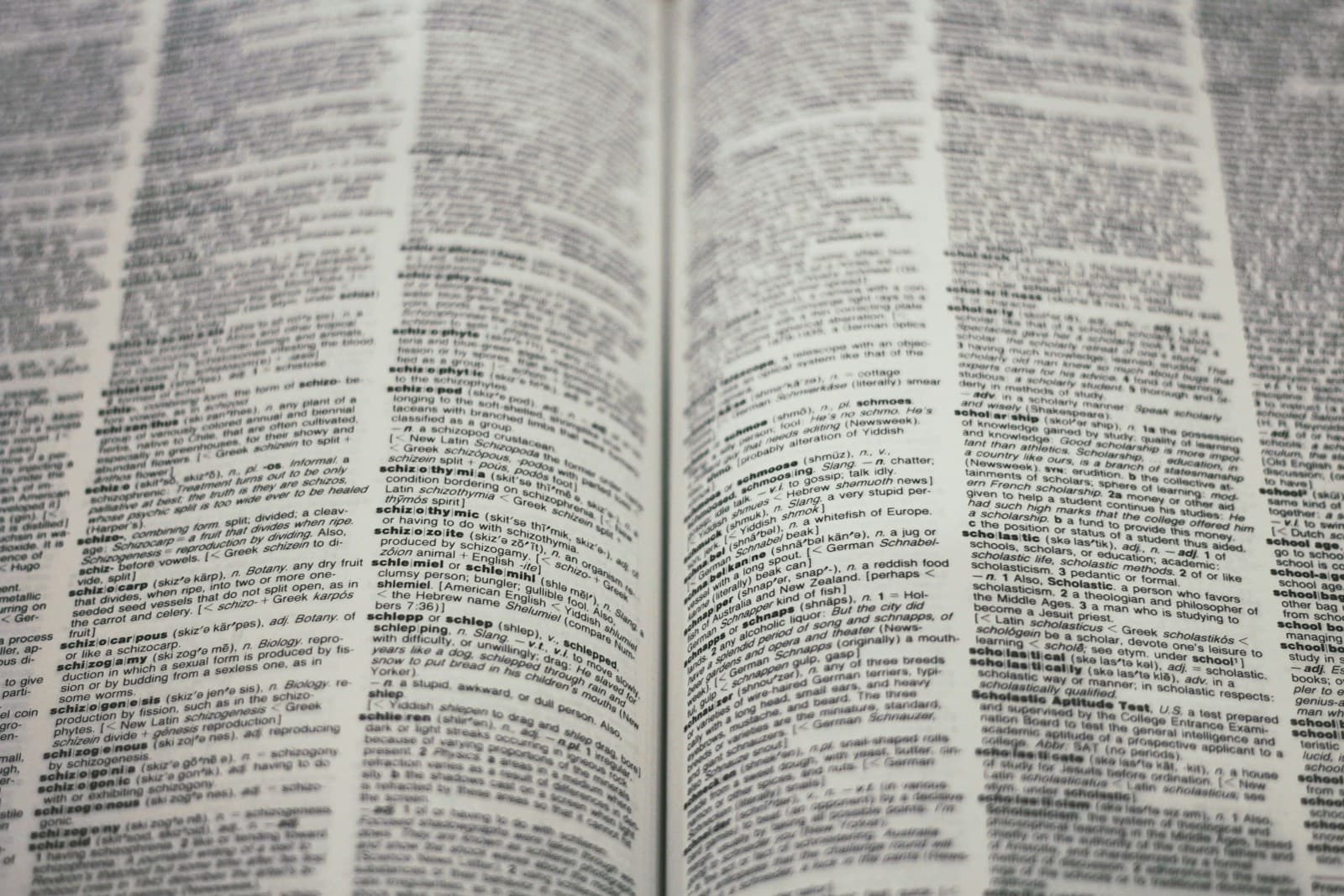 dictionary pages
